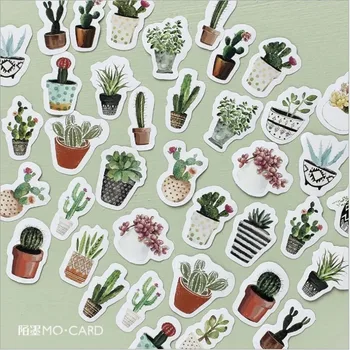 46 ADET Kutulu etiketler yaratıcı bitki albümü dekorasyon dokunmatik SEVİMLİ yeşil Saksı Yeşil Bitkiler Günlüğü Defteri 45mm