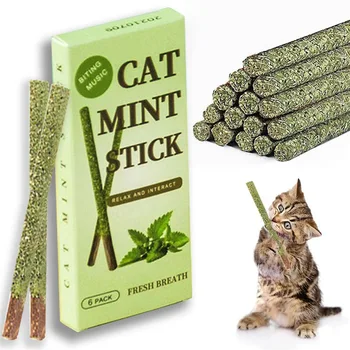 6 Adet Pet Kedi Oyuncaklar Doğal Yeşil Sağlıklı Kedi Aperatifler Sopa MolarToothpaste Sopa Temizleme Diş Nane Topu Catnip Kedi Malzemeleri