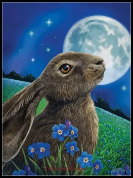 Nakış Sayılan Çapraz dikiş kitleri İğne-El Sanatları 14 ct DMC Renk DIY Sanat El Yapımı Dekor-Ay Tavşan