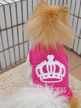 Taç Oyuncak Köpek Küçük Kedi Evcil Hayvan Giysileri Elbise Yelek T Shirt Giyim Giyim Köpek Kostümleri Tasarımcı Köpek Giysileri Schnauzer