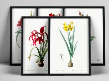 Vintage Vahşi Bitki Poster Botanik Çiçek Çalışma Salon Resim Şakayık Asılı Estetik Oda Dekor Tuval Paintng Resim 