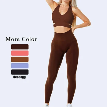 2023 Spor Sutyeni Dikişsiz Kadın Yoga Seti Kadın Egzersiz Yüksek Bel Ezme Pantolon Tayt Spor Spor Spor Aktif Giyim Takım Elbise